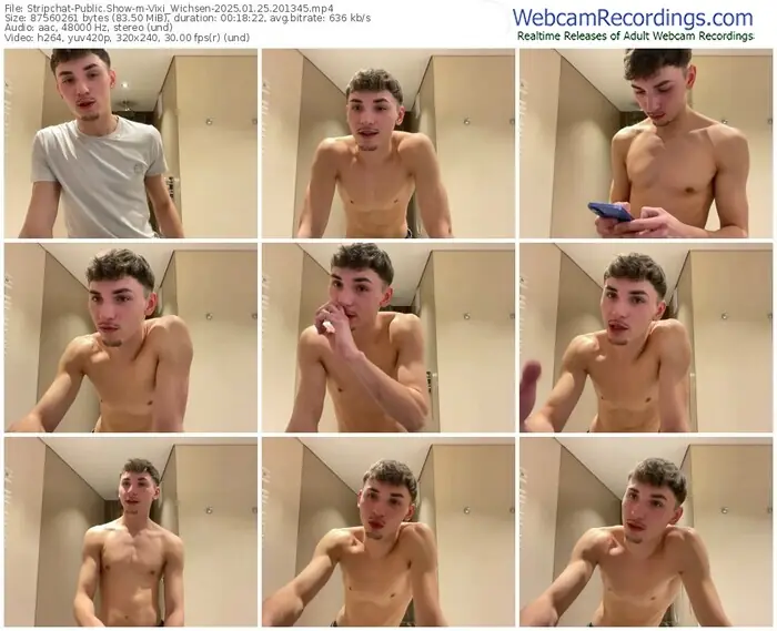 stripchat-vixi_wichsen-01-25-2025-20-13-45