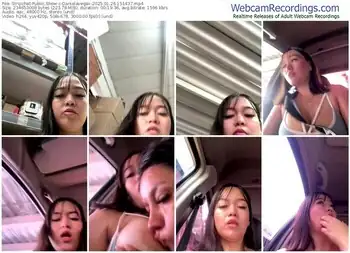 stripchat-danielavegax-01-26-2025-15-14-37