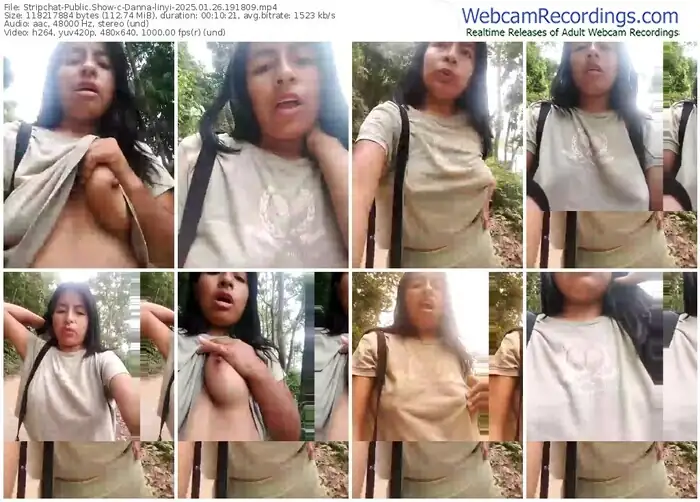 stripchat-danna-linyi-01-26-2025-19-18-09