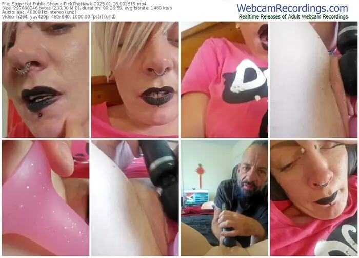 stripchat-pinkthehawk-01-26-2025-00-16-19