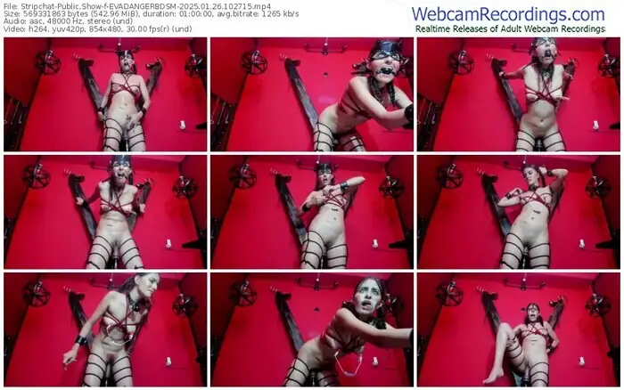 stripchat-evadangerbdsm-01-26-2025-10-27-15
