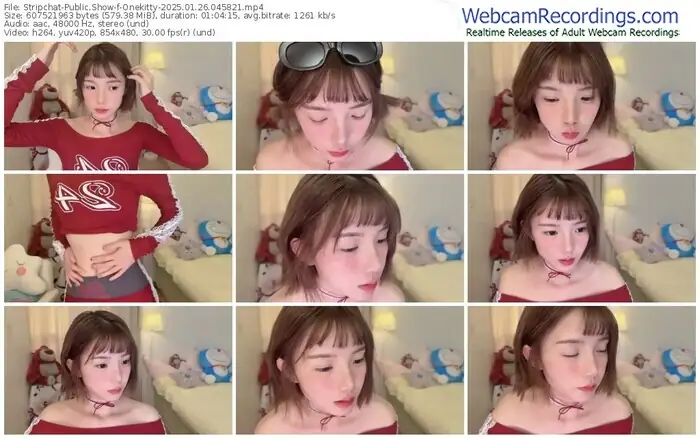 stripchat-onekitty-01-26-2025-04-58-21