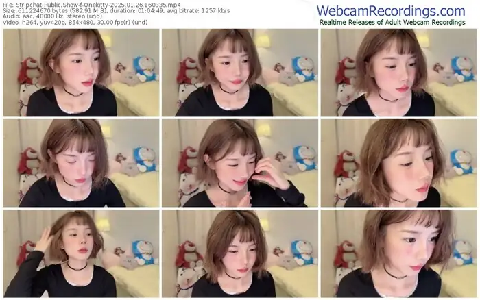 stripchat-onekitty-01-26-2025-16-03-35