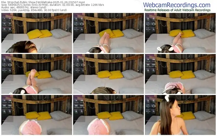 stripchat-wildafrake-01-26-2025-23-15-07