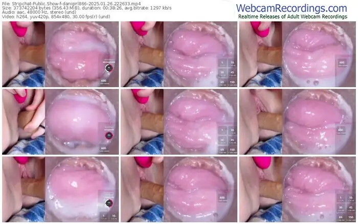 stripchat-danigirl866-01-26-2025-22-26-33