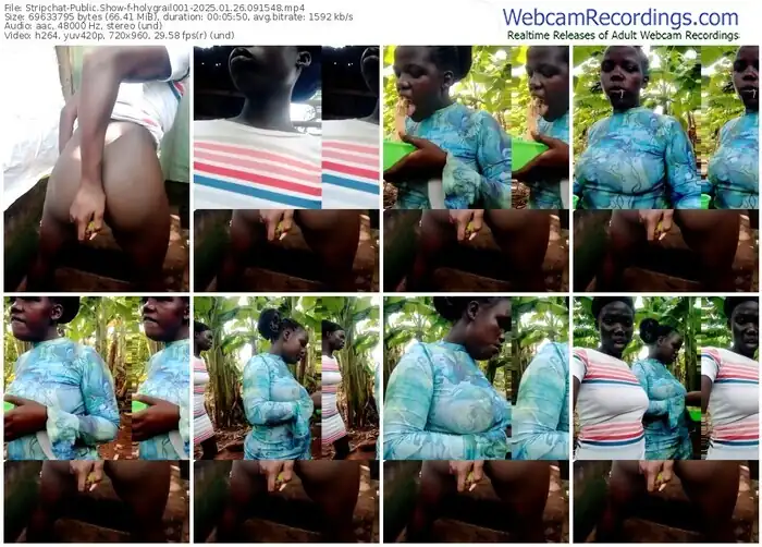 stripchat-holygrail001-01-26-2025-09-15-48