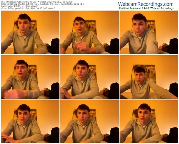 stripchat-vixi_wichsen-01-26-2025-21-56-40