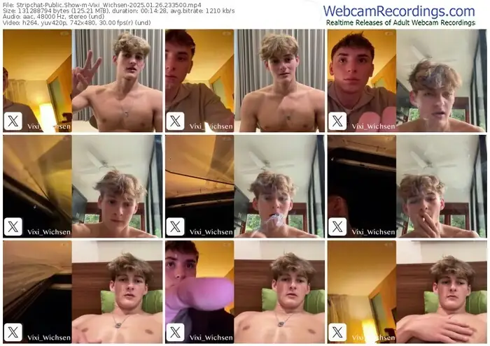 stripchat-vixi_wichsen-01-26-2025-23-35-00
