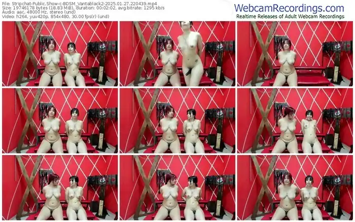 stripchat-bdsm_vantablack2-01-27-2025-22-04-39