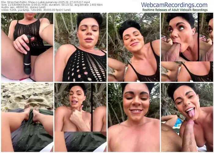 stripchat-lukelouharvey-01-27-2025-01-52-17