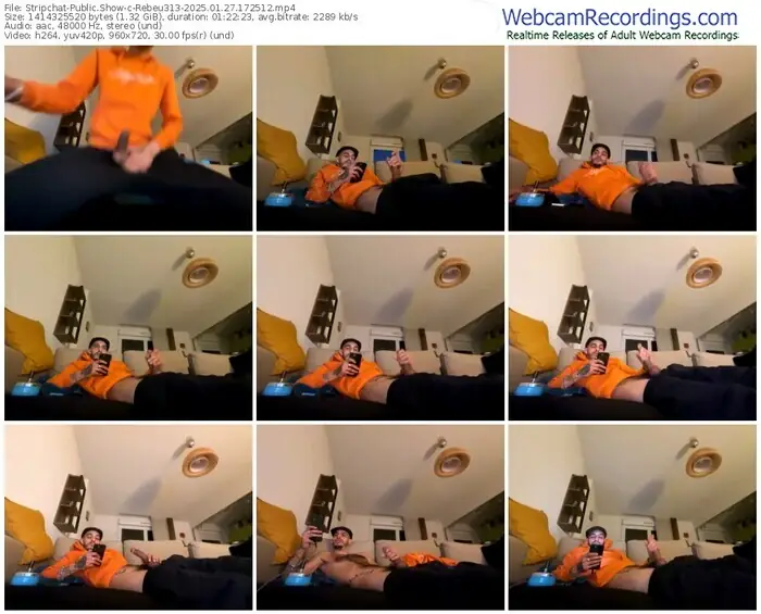 stripchat-rebeu313-01-27-2025-17-25-12