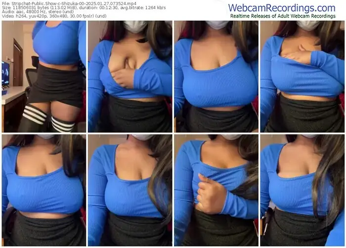 stripchat-shizuka-00-01-27-2025-07-35-24