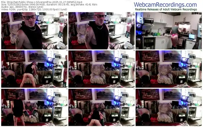 stripchat-silverandfox-01-27-2025-08-58-52