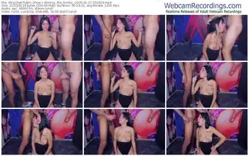 stripchat-destroy_the_bimbo_-01-27-2025-20-19-24