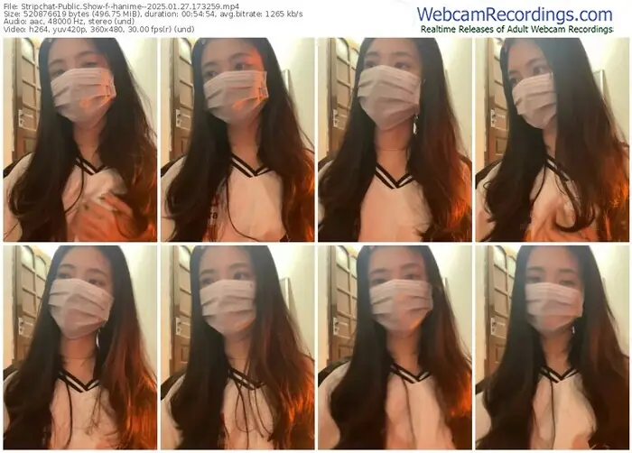 stripchat--hanime--01-27-2025-17-32-59