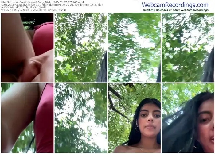 stripchat-baby_niels-01-27-2025-22-19-45