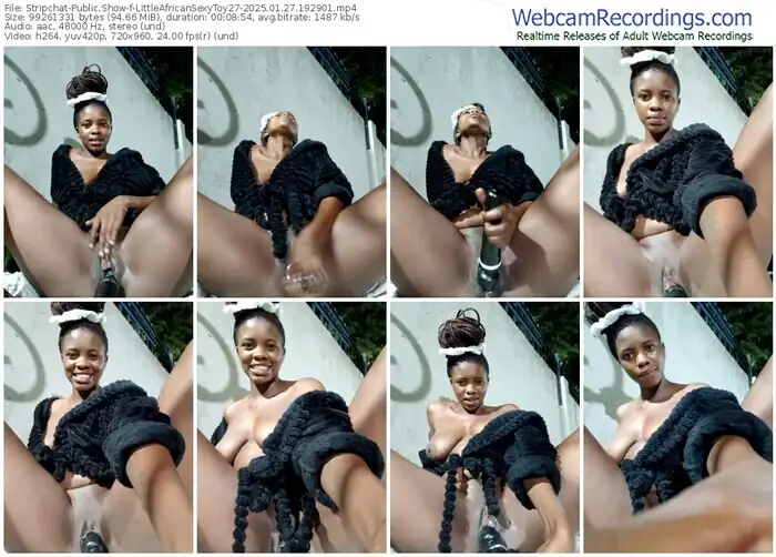 stripchat-littleafricansexytoy27-01-27-2025-19-29-01