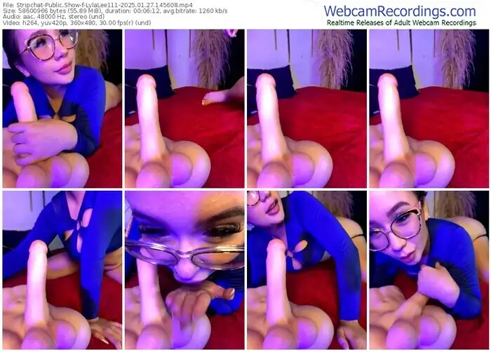 stripchat-lylalee111-01-27-2025-14-56-08