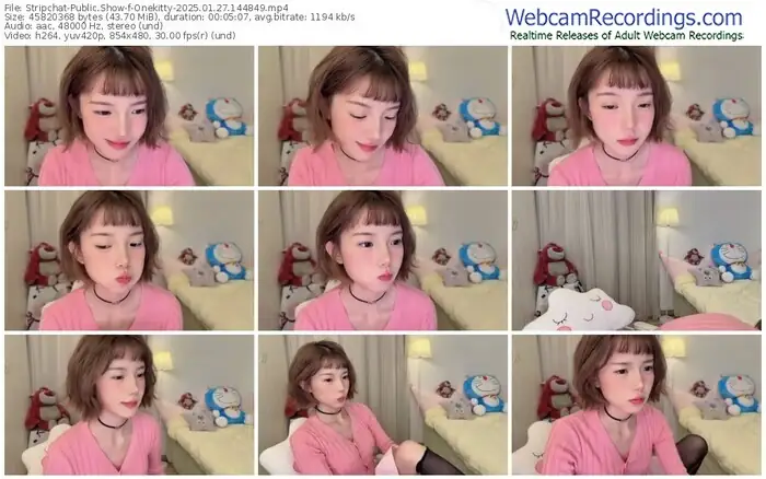 stripchat-onekitty-01-27-2025-14-48-49