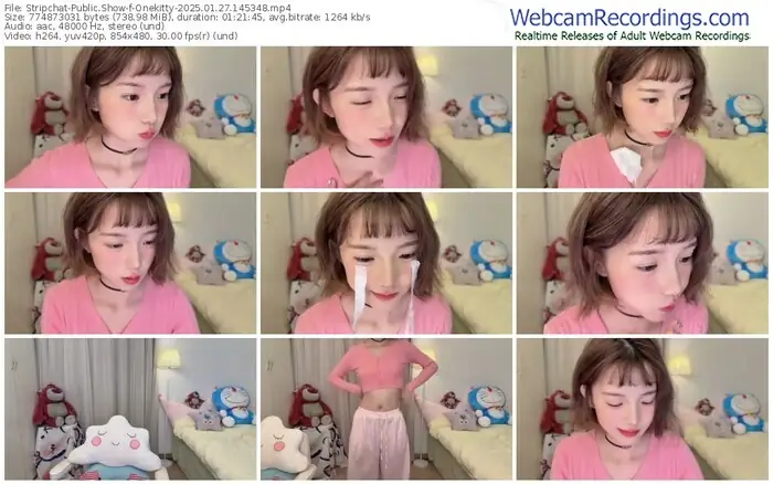 stripchat-onekitty-01-27-2025-14-53-48