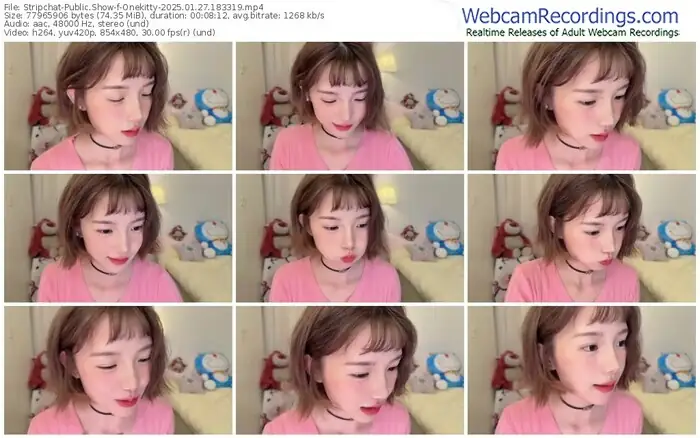 stripchat-onekitty-01-27-2025-18-33-19