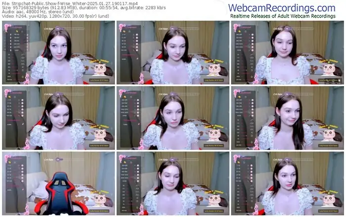 stripchat-wise_whiter-01-27-2025-19-01-17