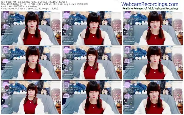 stripchat-a0513-01-27-2025-19-54-35