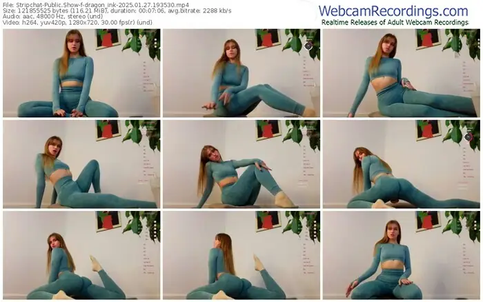 stripchat-dragon_ink-01-27-2025-19-35-30