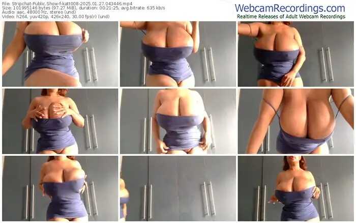 stripchat-katt008-01-27-2025-04-34-46