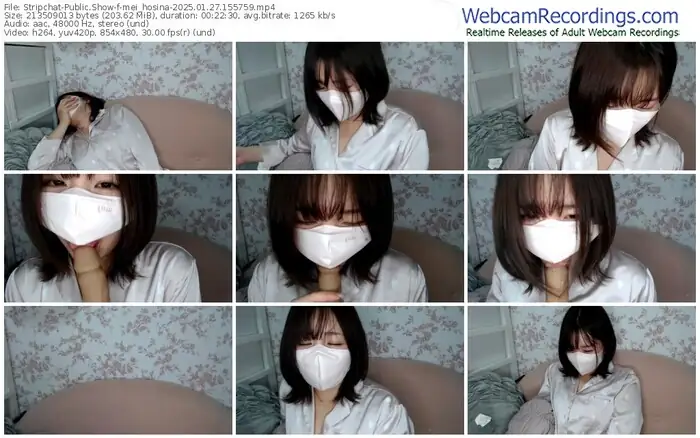 stripchat-mei_hosina-01-27-2025-15-57-59