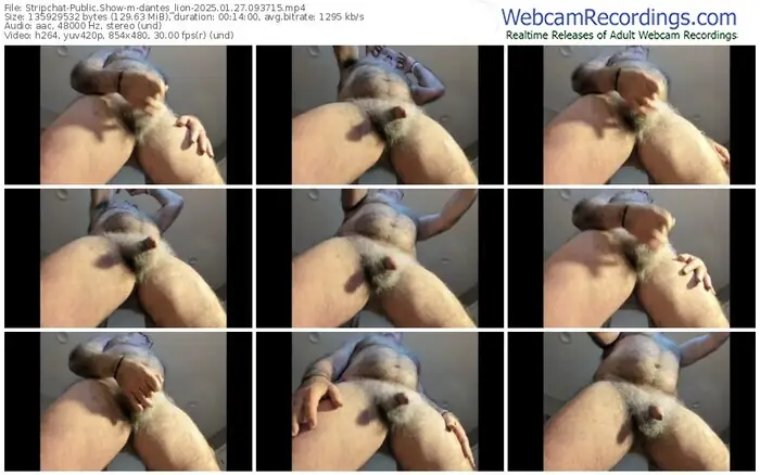 stripchat-dantes_lion-01-27-2025-09-37-15