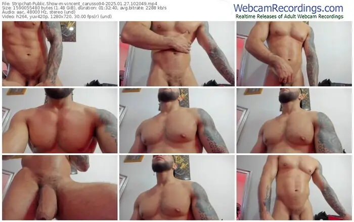 stripchat-vincent_carusso94-01-27-2025-10-20-49