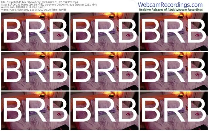 stripchat-tay_ler3-01-27-2025-03-43-05