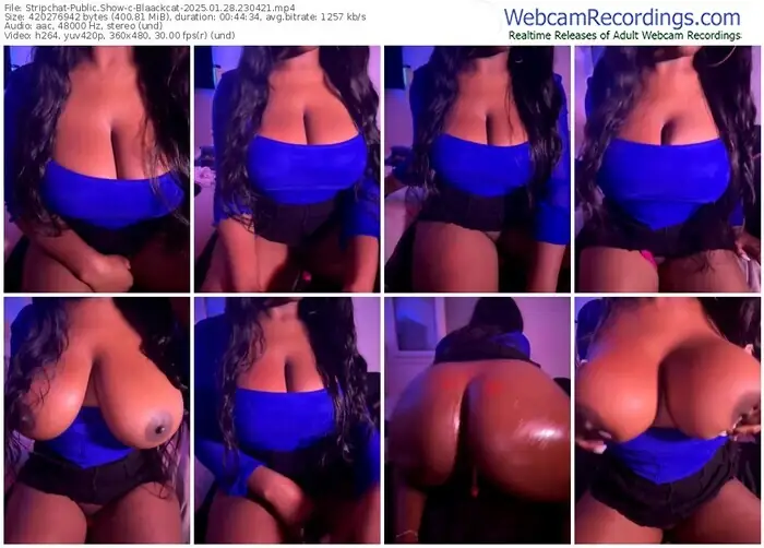 stripchat-blaackcat-01-28-2025-23-04-21