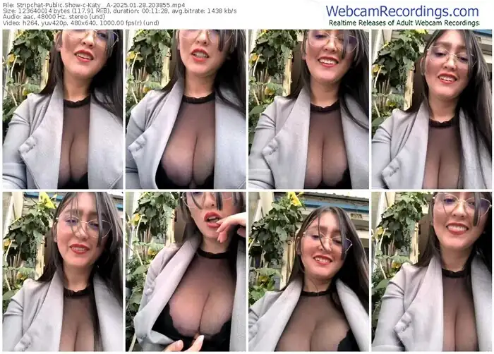 stripchat-katy__a-01-28-2025-20-38-55