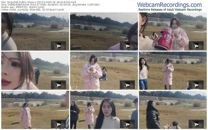 stripchat-ss119-01-28-2025-01-43-33