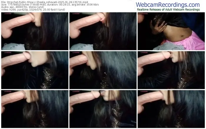 stripchat-sheela_oshovadi-01-28-2025-13-57-01