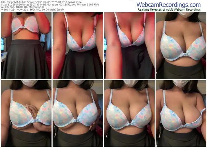 stripchat-shizuka-00-01-28-2025-06-47-42