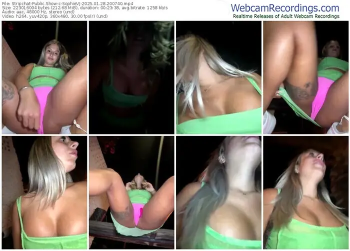stripchat-sophievj-01-28-2025-20-07-40