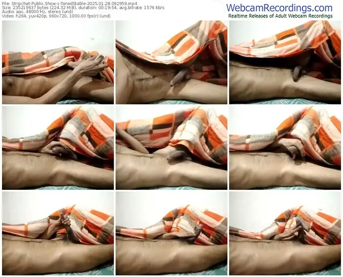 stripchat-tonedstable-01-28-2025-09-29-59