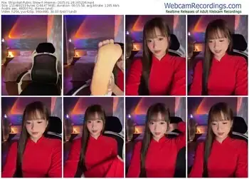 stripchat--meimei--01-28-2025-16-52-36