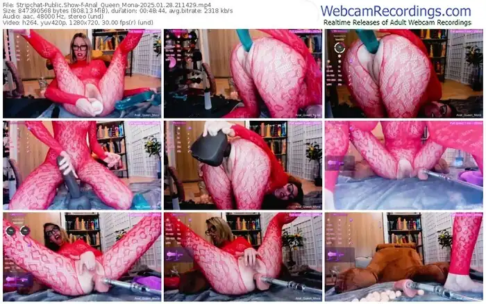 stripchat-anal_queen_mona-01-28-2025-21-14-29