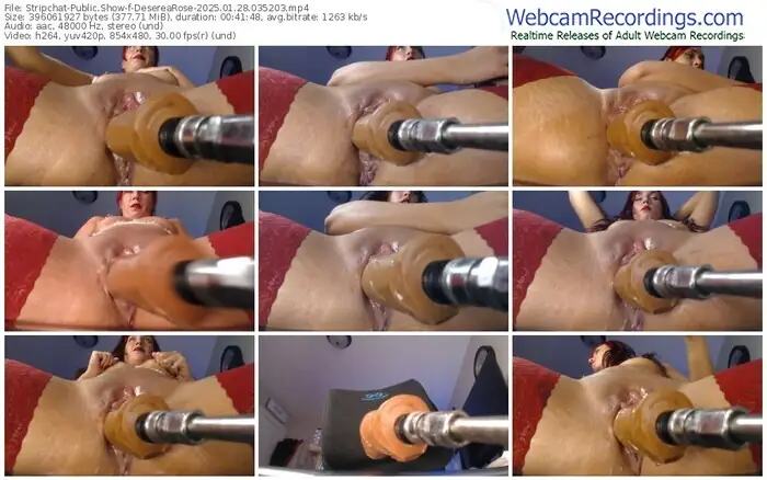 stripchat-deserearose-01-28-2025-03-52-03