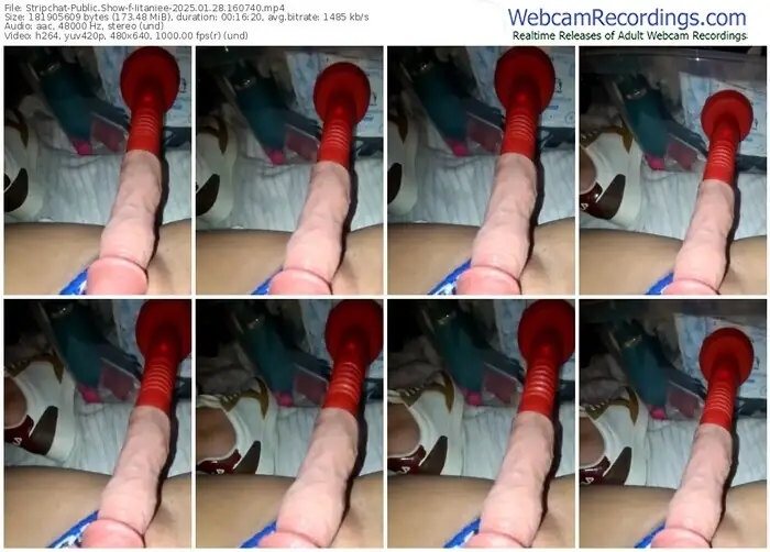 stripchat-iitaniee-01-28-2025-16-07-40