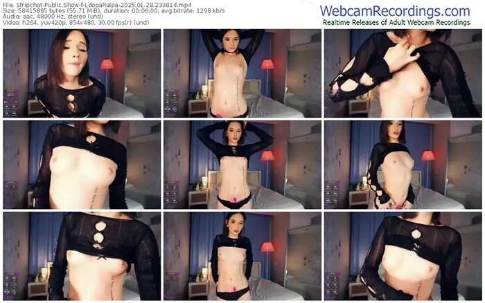 stripchat-ldoparalpa-01-28-2025-23-38-14