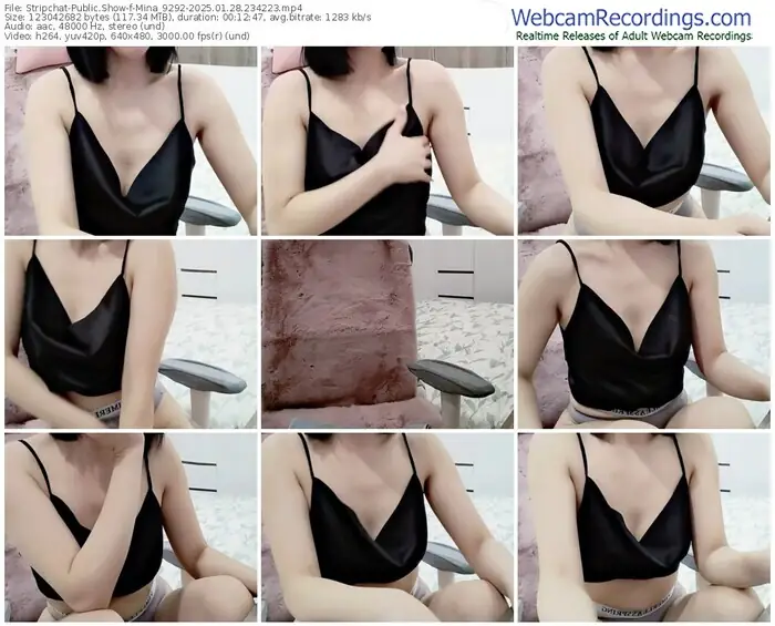 stripchat-mina_9292-01-28-2025-23-42-23