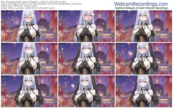 stripchat-naijiang_-01-28-2025-11-41-23