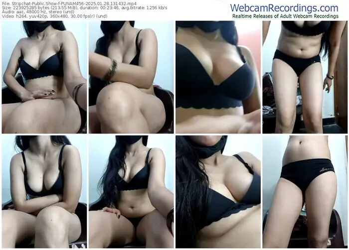stripchat-punam456-01-28-2025-13-14-32