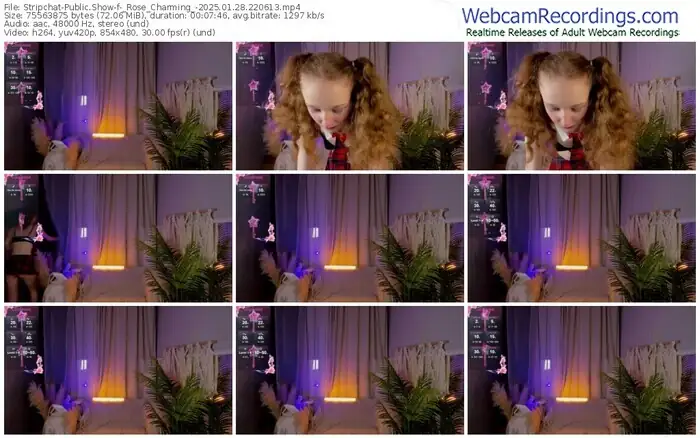 stripchat-_rose_charming_-01-28-2025-22-06-13