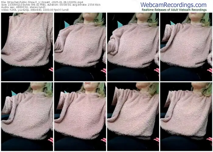 stripchat-_u_dream_-01-28-2025-10-20-51